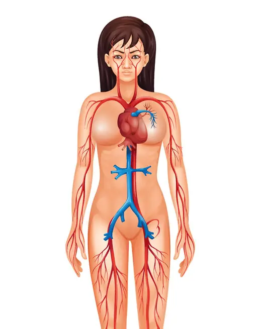 Corso Online Anatomia