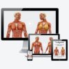 Video Corso Online su Anatomia del Massaggio