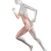 Video Corso Online di Anatomia del Massaggio II Livello dell'Accademia Olistica Oligenesi