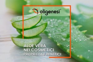Scopri di più sull'articolo Aloe Vera nei cosmetici: proprietà  e benefici