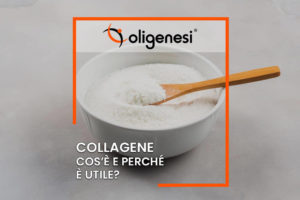 Scopri di più sull'articolo Collagene: cos’è e perché è utile?