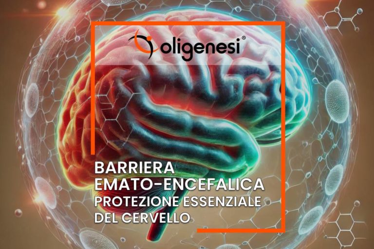 Scopri di più sull'articolo La Barriera Emato-Encefalica: Protezione Essenziale del Cervello